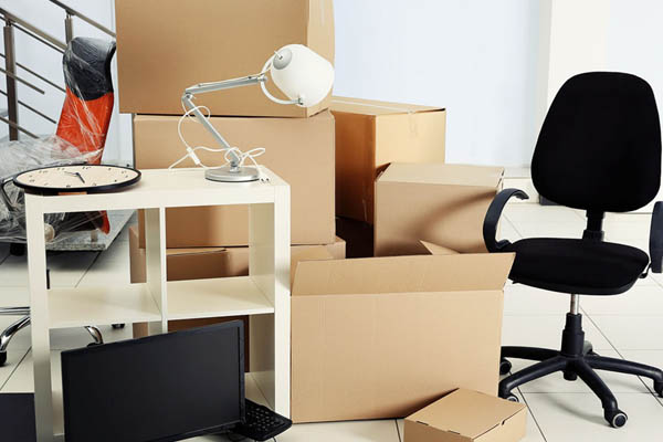 alpha packers and movers raipur