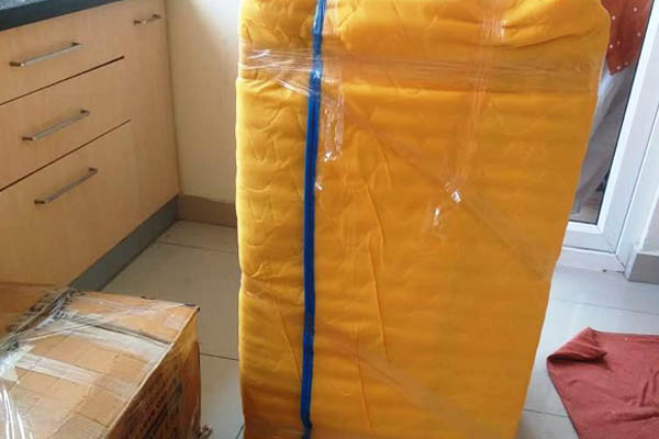 Packing and Unpacking Services in Raipur